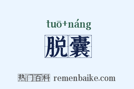 脱囊是什么意思的图片